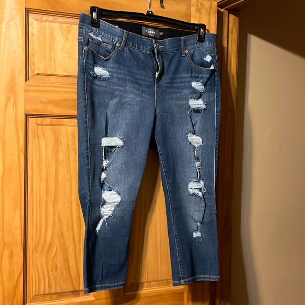 Torrid Premium Skinny Jeans